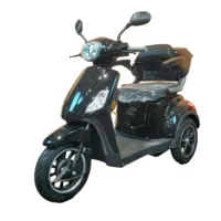 Электротрицикл Syccyba Trike A1 1000W 60V20Ah